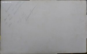 Первые космонавты, 1965 г.