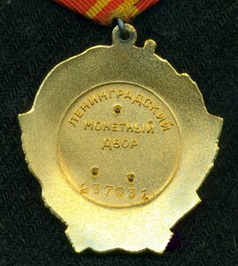 OЛ № 23* *** c ОК