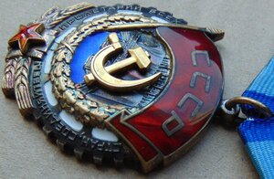 ТКЗ №1254261 ЗП №1301577 +доки и удостоверение наставника.