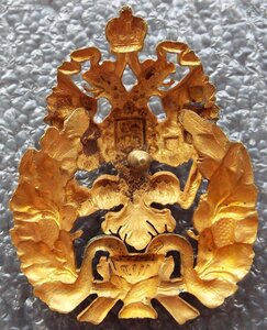 знак врача, имеющего звание лекаря,позолота,Фредманъ,Тосна