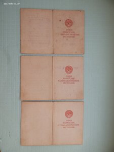 Дунайский бант. Белград, Вена. Будапешт +ЗПНГ на одного