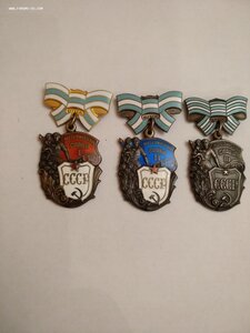 Три степени Материнской славы.