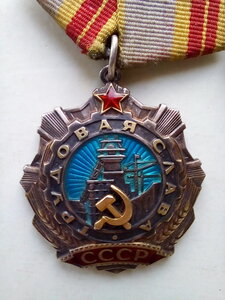 Трудовая Слава 2 и 3 степень.