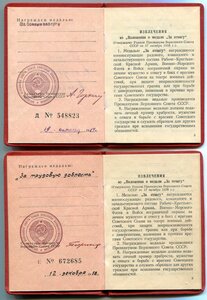 Солянка медалей и документов