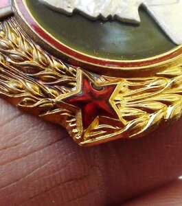 ОЛ 174676 Орденская книжка.