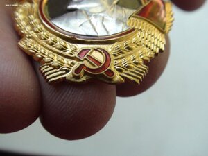 ОЛ 174676 Орденская книжка.
