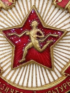 Знак ,отличник физической культуры, номер 14941