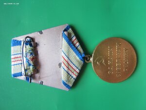 Кавказ с доком на пограничника