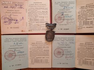 Материнская Слава 3й степени с комплектом документов.