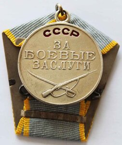 МЕДАЛЬ "ЗА БЕЗУПРЕЧНУЮ СЛУЖБУ" № 576175