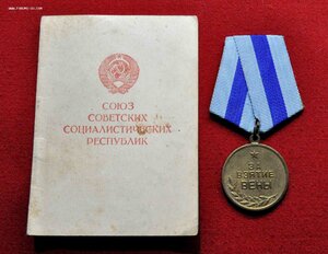 Вена плоское ухо с доком