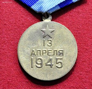 Вена плоское ухо с доком