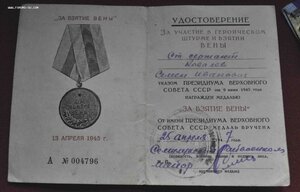 Вена плоское ухо с доком