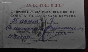 Вена плоское ухо с доком