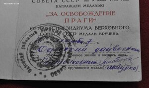 Прага паяное ухо с доком