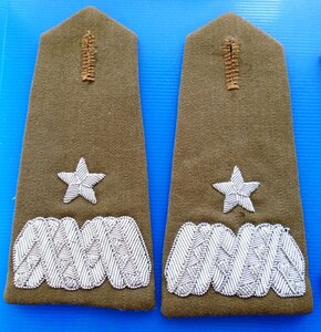 Погоны и петлицы польского генерала.