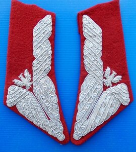 Погоны и петлицы польского генерала.