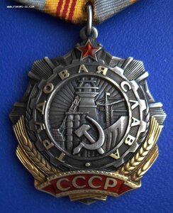 Слава трудовая 3 ст на женщину на доке