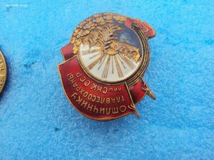 Отличник главлесохраны. Копия