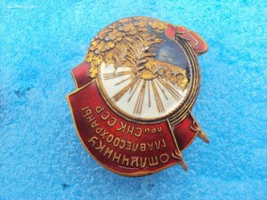 Отличник главлесохраны. Копия