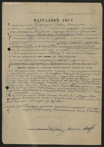 Партизан. Партизанская бригада Совиткова. Калининская обл