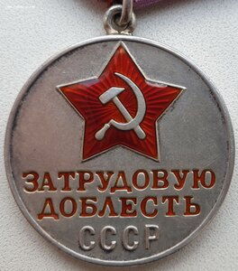 Трудовая доблесть № 50.923 персональный документ