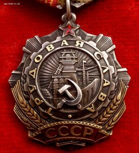 Орден Трудовой Славы 3 ст № 4349