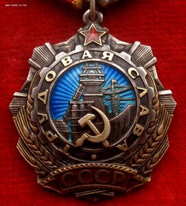 Орден Трудовой Славы 2 ст № 1130