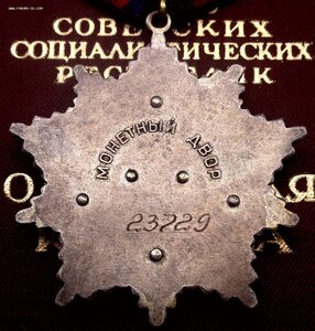 Орден Дружбы Народов № 23.729 Люкс + Документ
