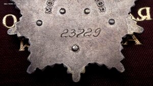 Орден Дружбы Народов № 23.729 Люкс + Документ