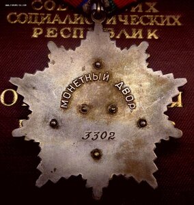 Орден Дружбы Народов № 3.302 Люкс + Документ