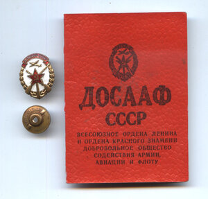 Знак ДОСААФ с документом.
