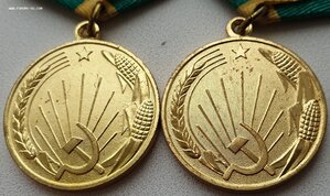 Две шикарные Целины на супругов. Номера доков - подряд.