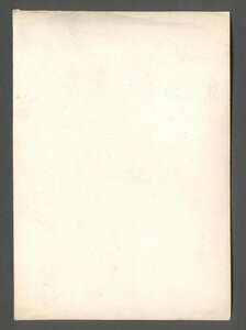 Красивое (качественное) фото капитана РИА с эполетами.