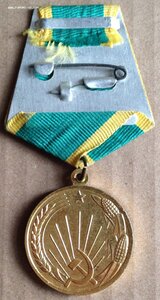 Медаль Целина в Cостоянии!