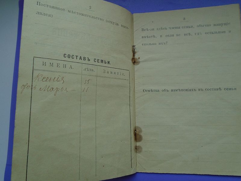 Билет беженца 1917г