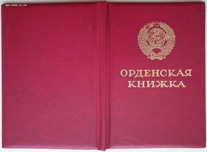 Орденская ОВ 2ст 1993 год на женщину. Без вручения ордена