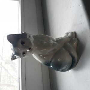 Кошка