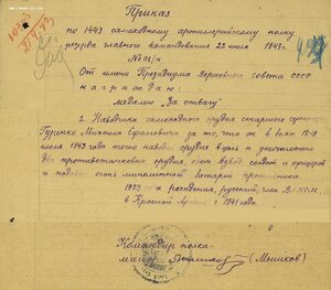 Дубликаты по-чистому: ОВ 2ст. № 763.333 и Отвага № 328.504