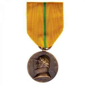 Бельгия. Медаль "В память царствования короля Альберта I"