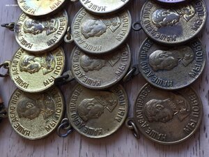 Солянка 18 шт ЗПНГ-ЗДТ