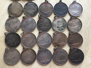 Солянка 20 шт ЗБЗ