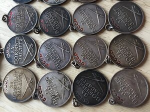 Солянка 20 шт ЗБЗ