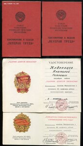 Куча Медалей +Значков+ Колодок+ Документов 02