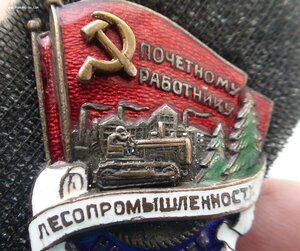 Почетный работник лесопромышленности СССР.