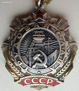 Трудовая Слава 3ст. № 631.012 с орденской книжкой