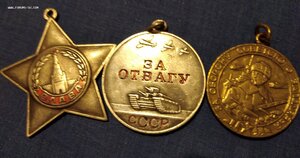 Слава, отвага, Заполярье