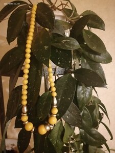 Чёткие бусы