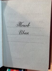 ДН на болгарина, заместителя миниситра электроники Тенева И.