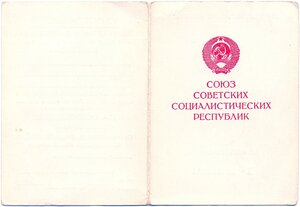 RRR! Дубликатный Дунайский бант на женщину